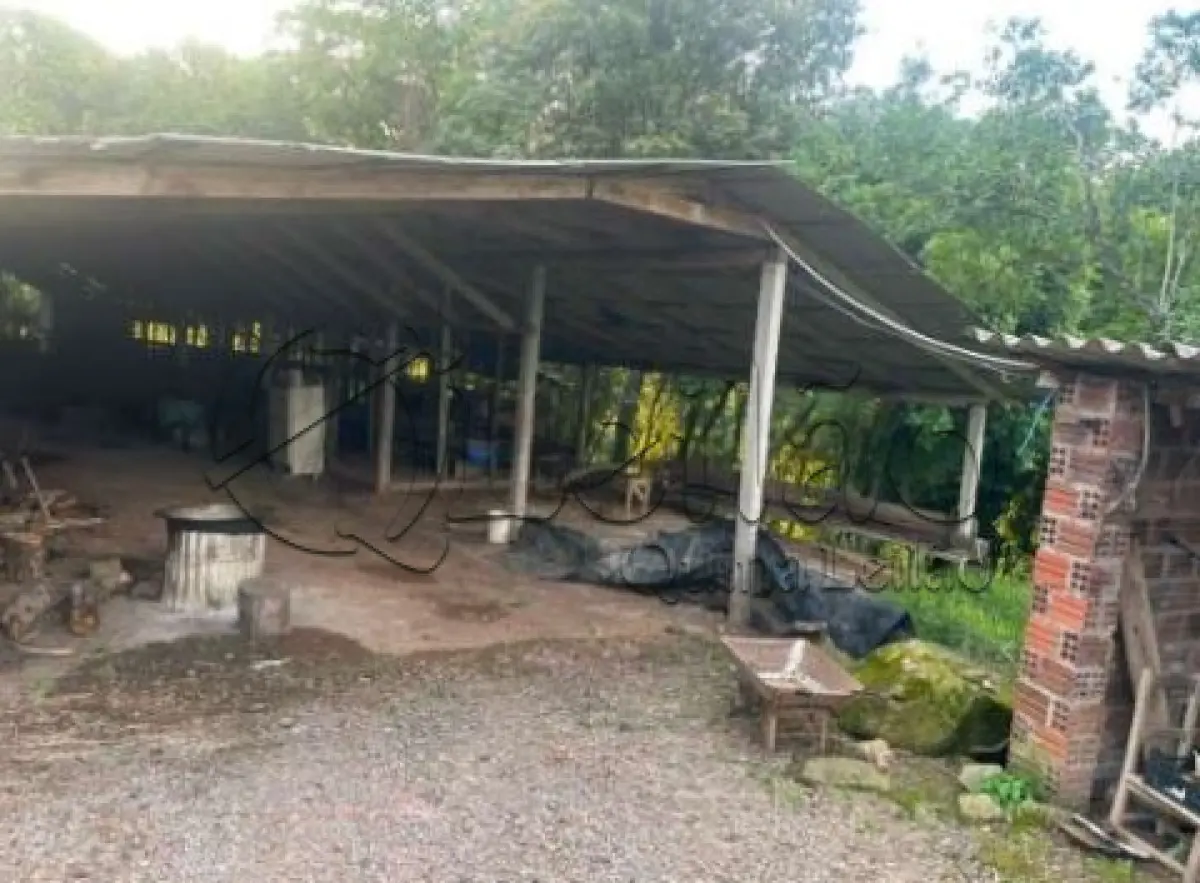 LOTE 001 - Imóvel rural com plantações e casa em alvenaria