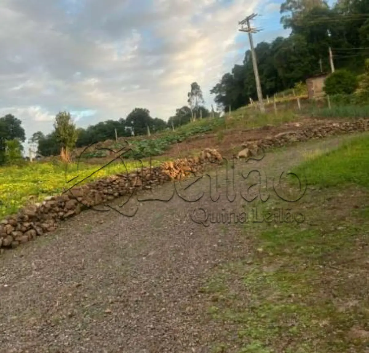LOTE 001 - Imóvel rural com plantações e casa em alvenaria