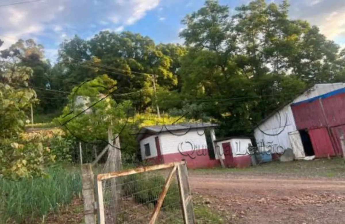 LOTE 001 - Imóvel rural com plantações e casa em alvenaria