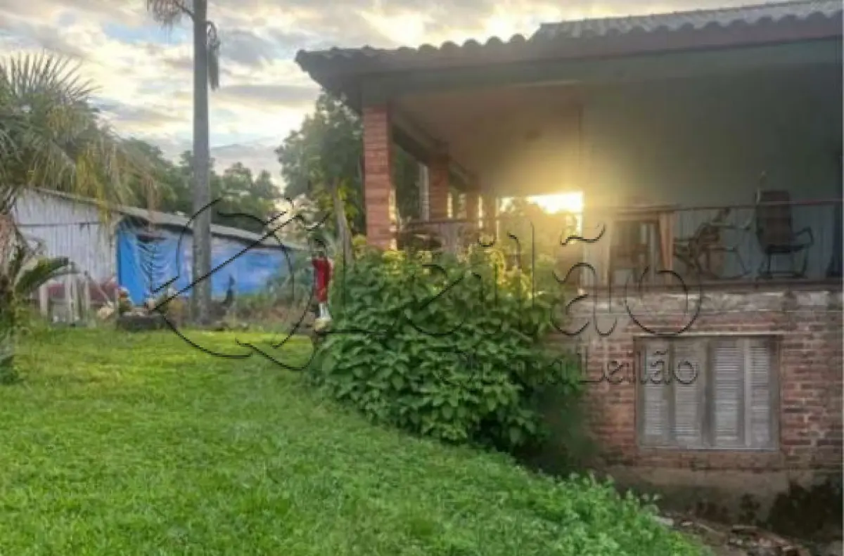 LOTE 001 - Imóvel rural com plantações e casa em alvenaria