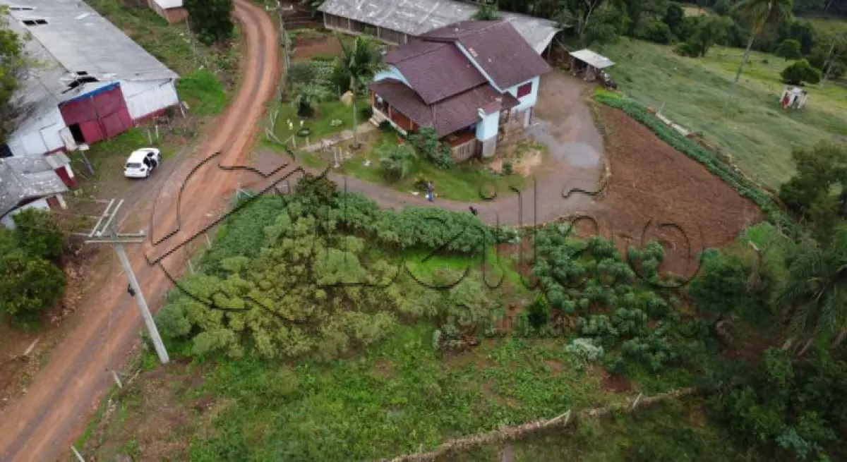 LOTE 001 - Imóvel rural com plantações e casa em alvenaria