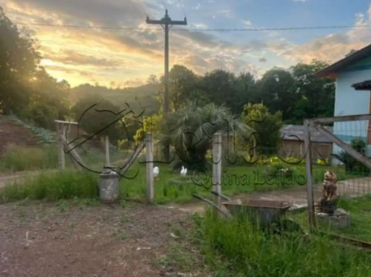 LOTE 001 - Imóvel rural com plantações e casa em alvenaria