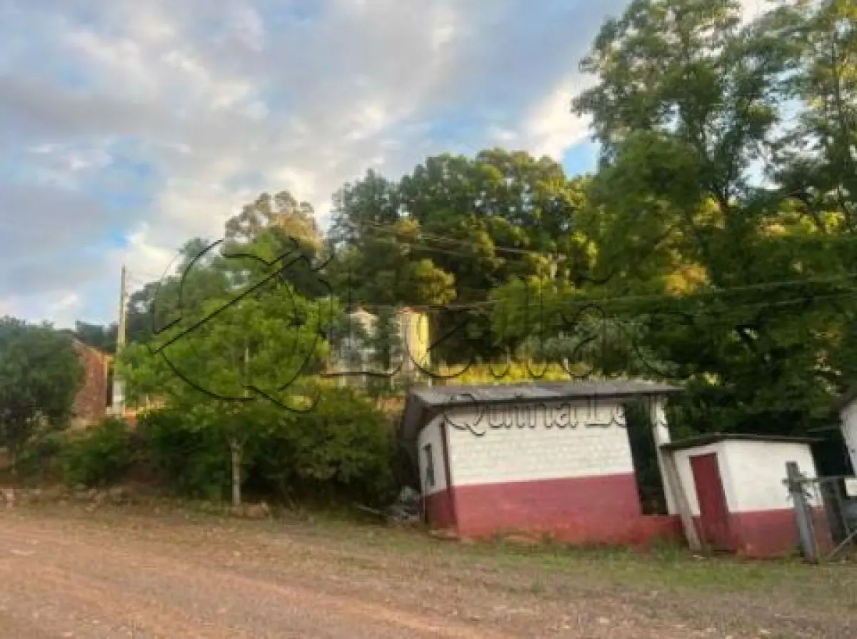 LOTE 001 - Imóvel rural com plantações e casa em alvenaria
