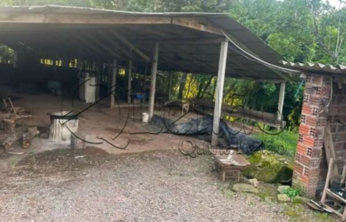 LOTE 001 - Imóvel rural com plantações e casa em alvenaria