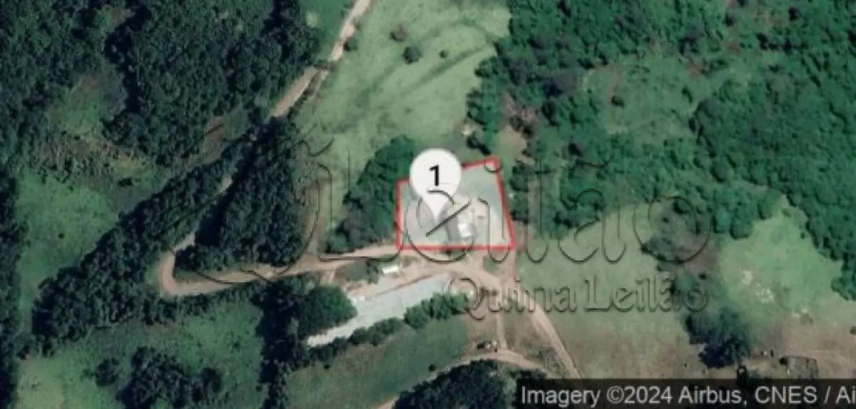 LOTE 001 - Imóvel rural com plantações e casa em alvenaria