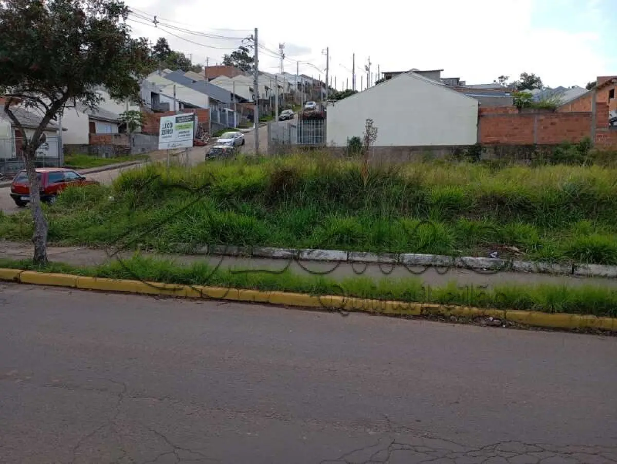 LOTE 001
